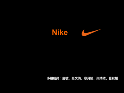 NIKE公司跨国公司案例概要.ppt